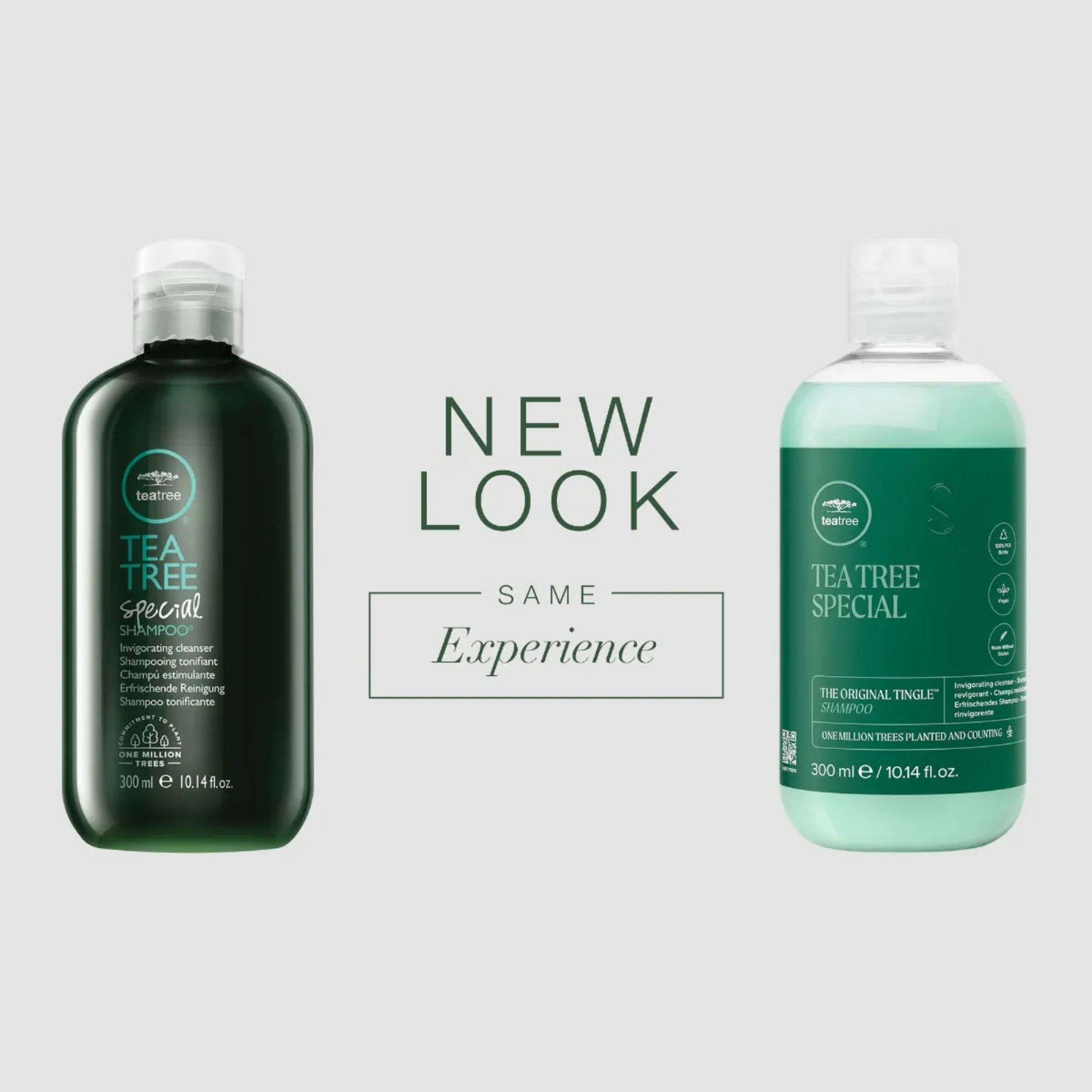 Paul Mitchell Tea Tree Special Shampoo 16.9oz | Salon Brands