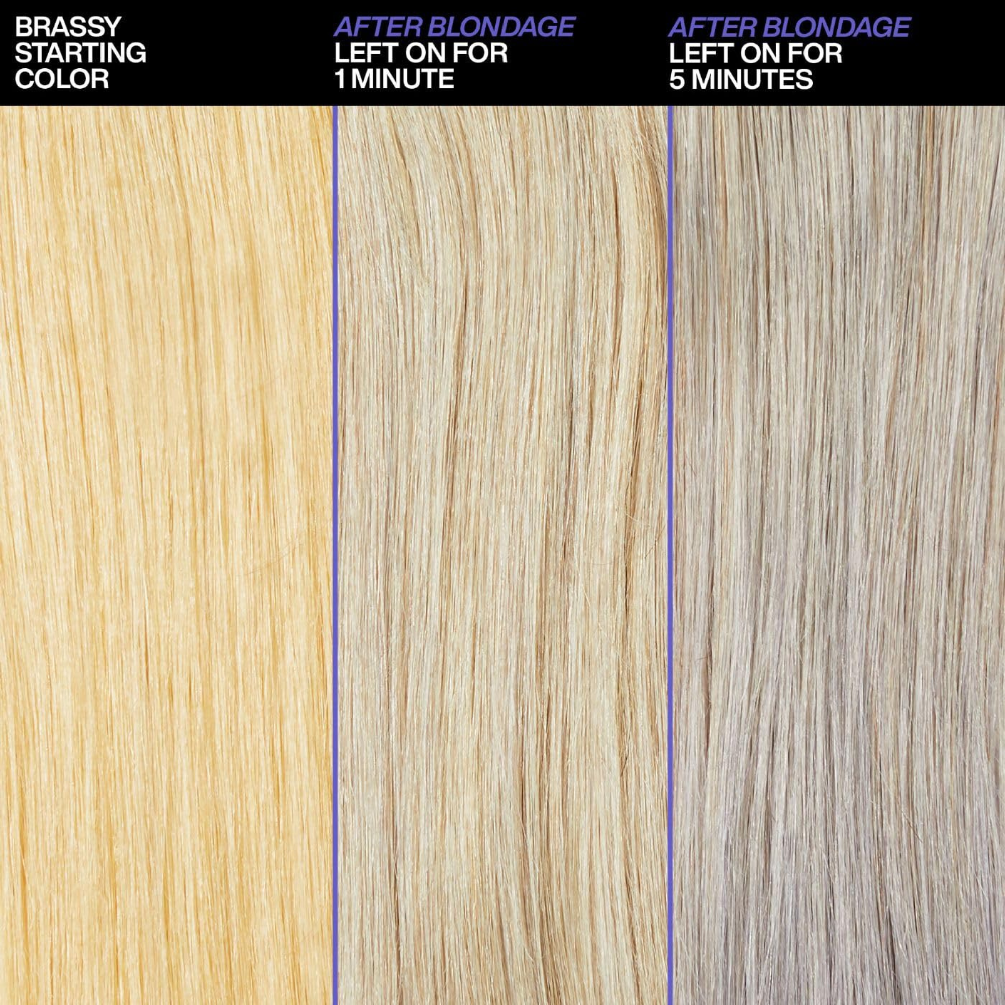 Redken Blondage Purple Shampoo 33.8 Oz - Color Depositing For Daily Use
